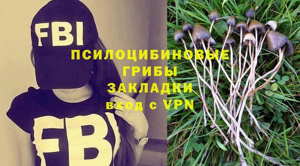 прущая мука Инсар